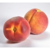 Персики, абрикосы из Греции от производителя +380964482000
