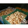 «Кедро-гранд» - оптовая продажа грибов,  ягод,  кедровой продукции,  меда и трав.
