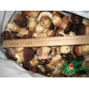 Белые грибы замороженные от 190 рублей!