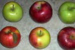 Новые сорта яблок приходят на российский рынок